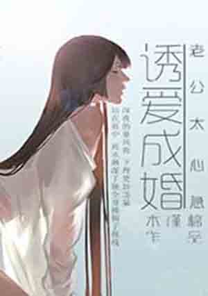 �հ��ɻ飺�Ϲ�̫�ļ�