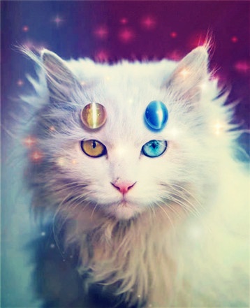 �������еİ�����O[ŮA��O]