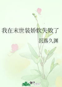 ����ĩ��װ����ʧ����