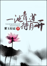 һ���������¿�