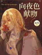 ��ҹɫ����