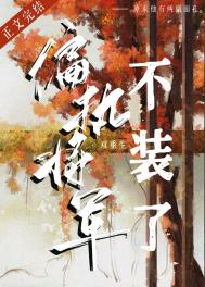 ƫִ������װ��[˫����]