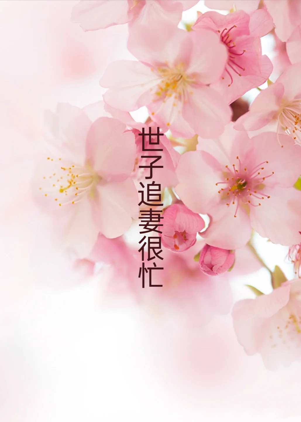 ����׷�޺�æ������