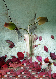 �������ø磨���ã�