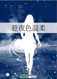 ��ҹɫ����