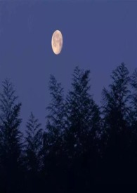 ��ȥ������������У԰1V1 ��