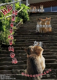 ��hp������ɫ������������