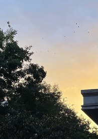 ʥĸ���³���np��