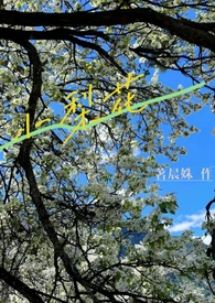 С�滨��У԰h&nbsp;&nbsp;1V1��