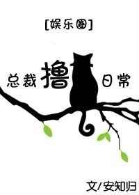 �ܲ�ߣè�ճ�[����Ȧ]